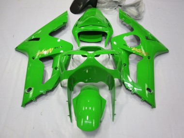 2003-2004 Grüner Ninja ZX6R Verkleidung