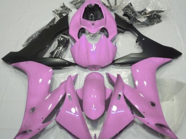 2004-2006 Babyrosa R1 Verkleidung